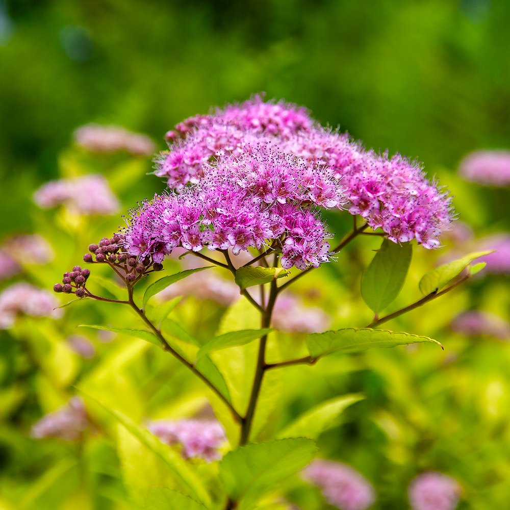 Photograph by Денис