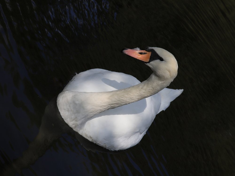 Photograph by Газетдинов Айрат