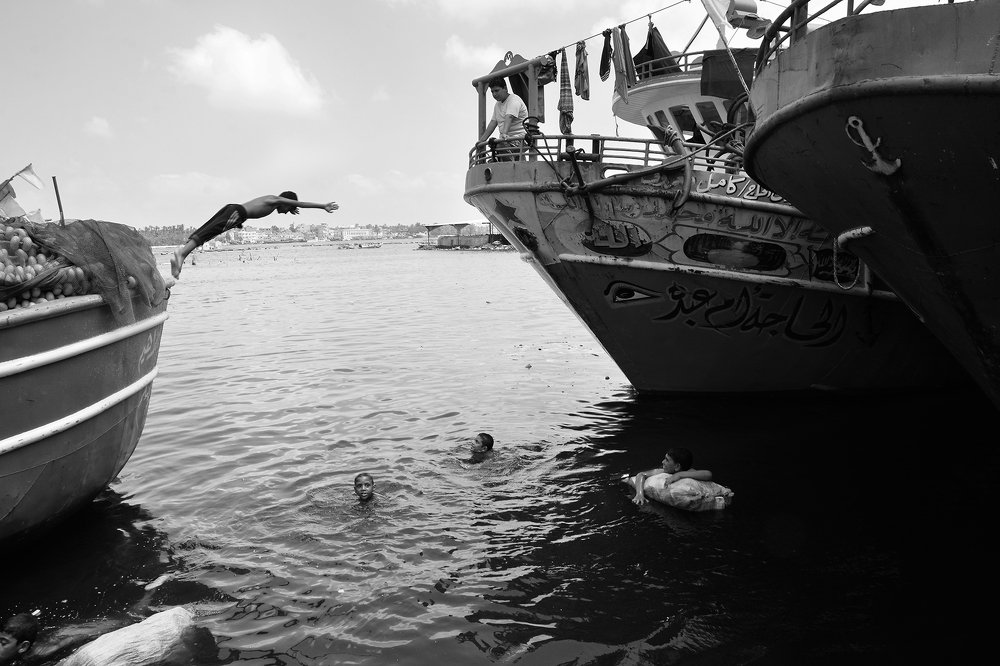 Photograph by  Shady