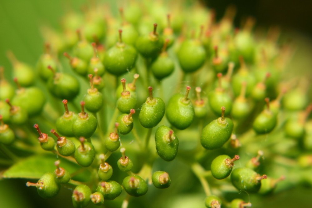 Photograph by Газетдинов Айрат