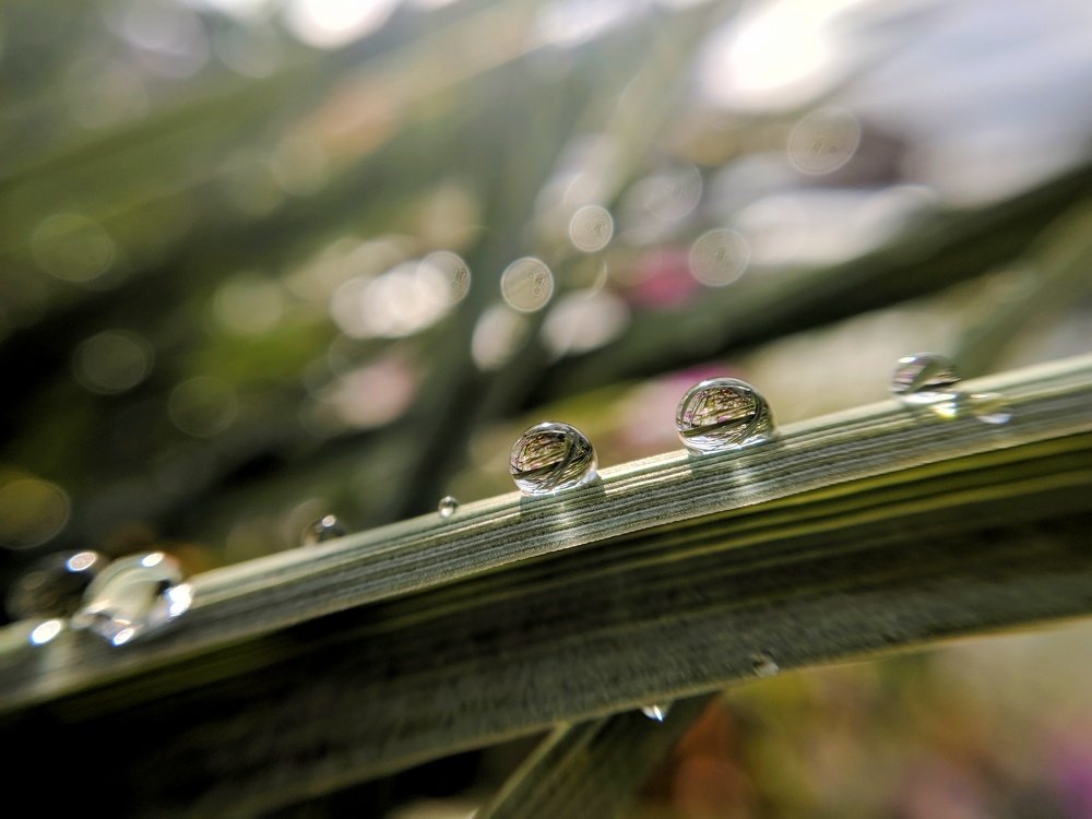 Photograph by Наиль Шакиров