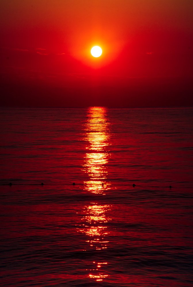 Photograph by Газетдинов Айрат