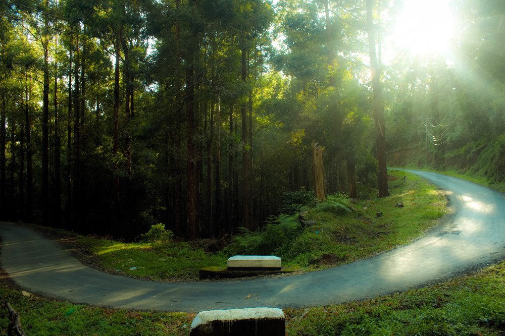 Photograph by saravanan