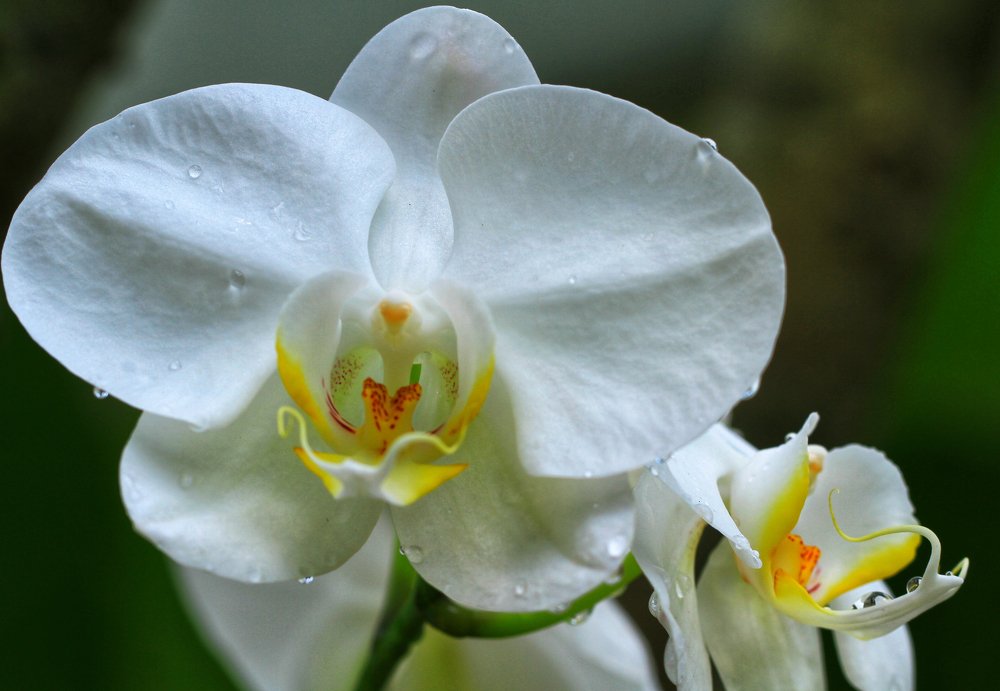 Фотография автора Tutang Hermawan (+62)812 2072-43 Asep