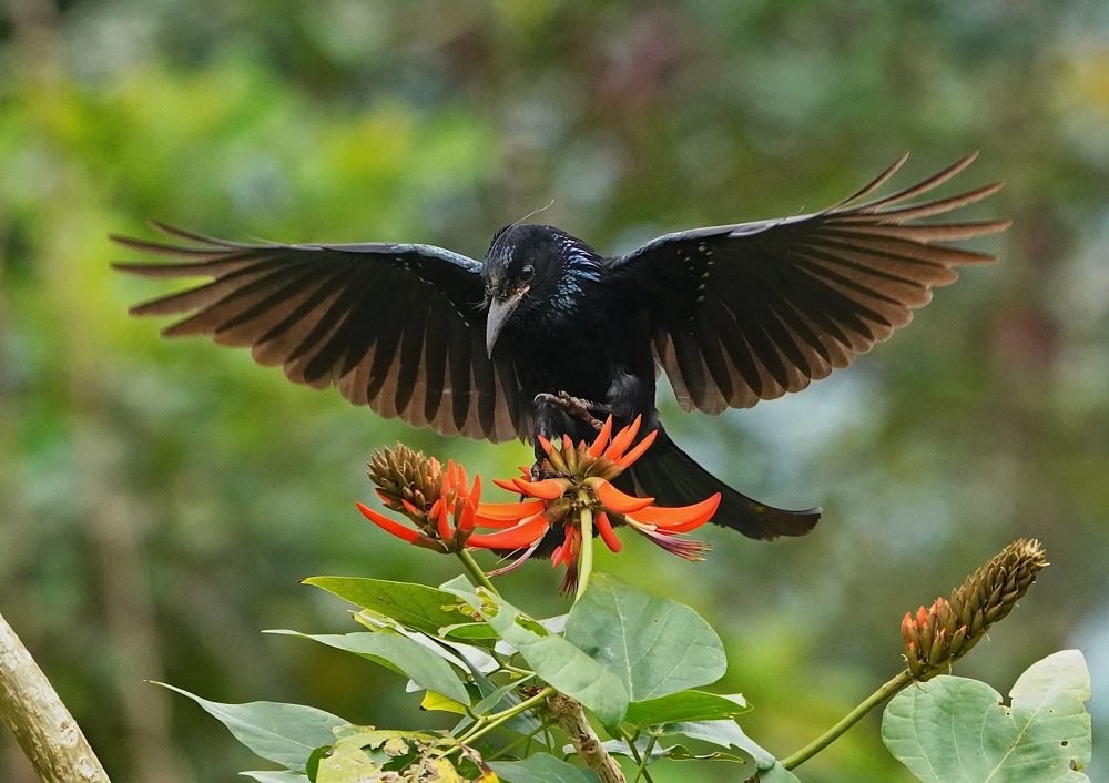 Photograph by Kan Chung Wong
