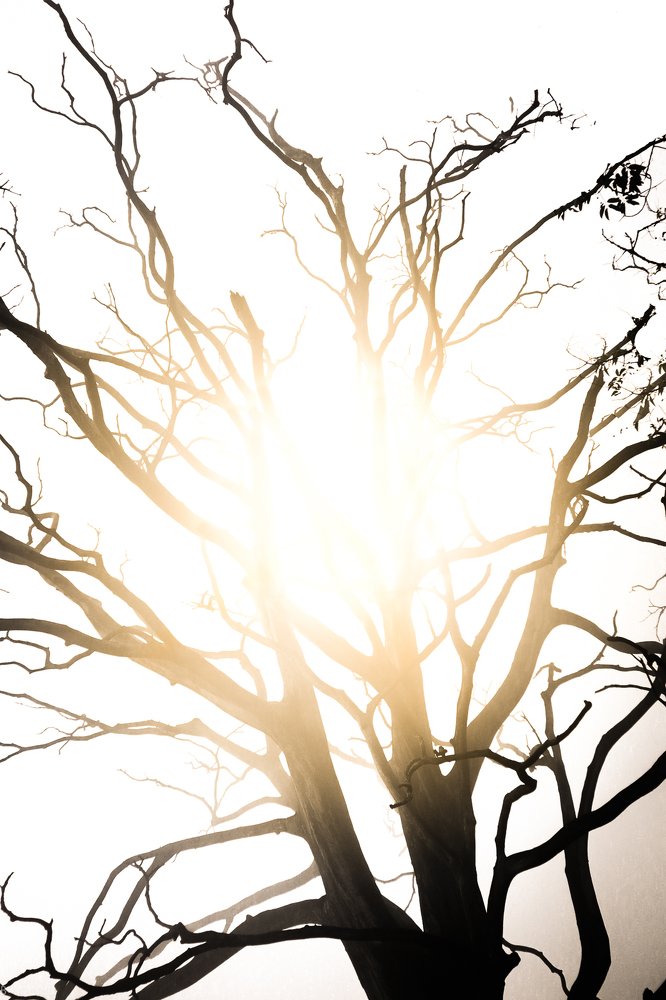 Photograph by C R ABHIMANYU ABHIMANYU