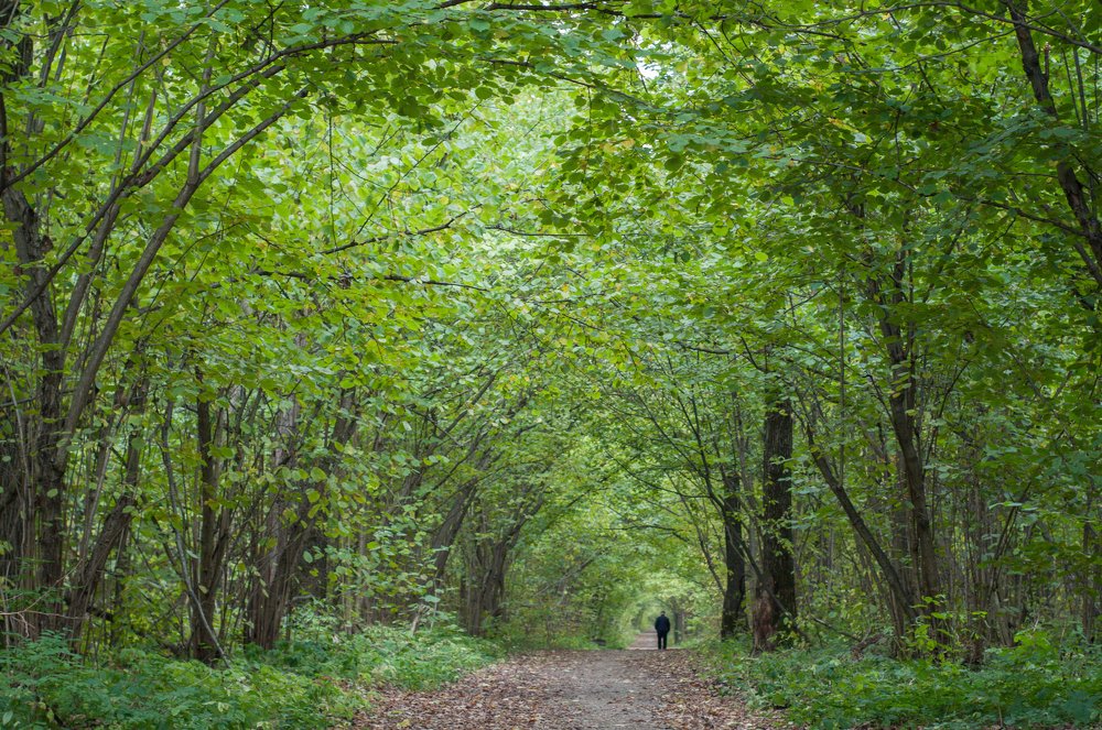 Photograph by Василий Фроленок