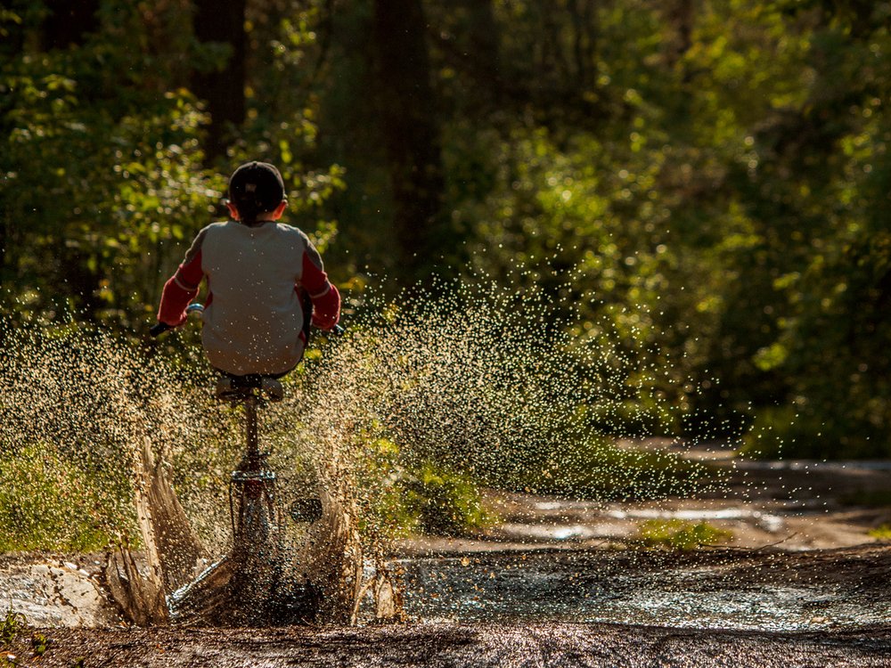 Photograph by Александр Губарев