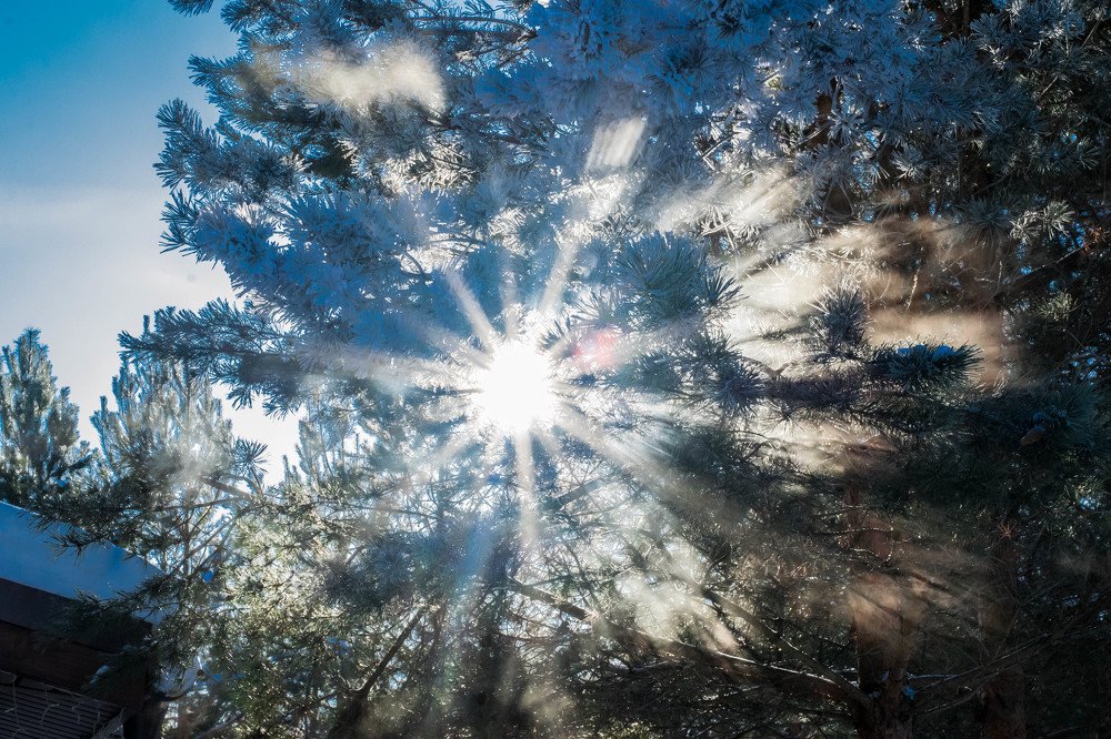 Photograph by Алла Кондратьева