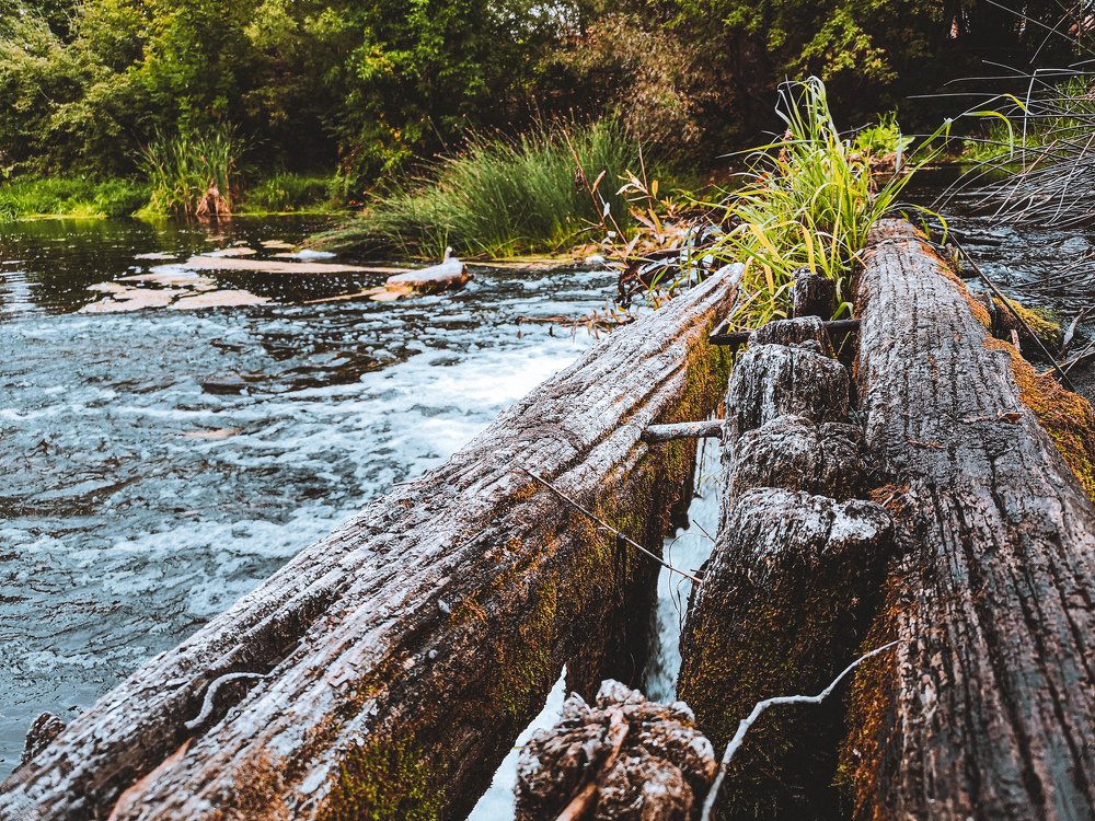 Photograph by Виталий