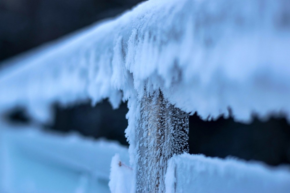 Photograph by Алла Кондратьева