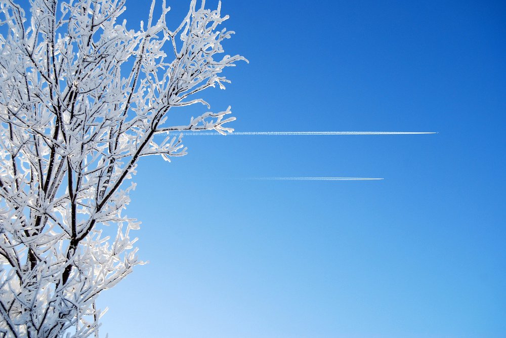 "Только в полете живут самолеты"