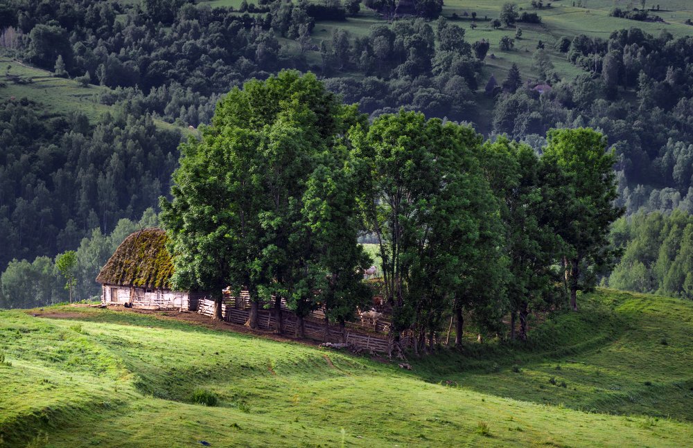 Photograph by Holhos Nick