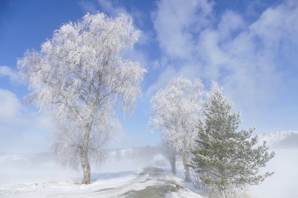 Frosty day