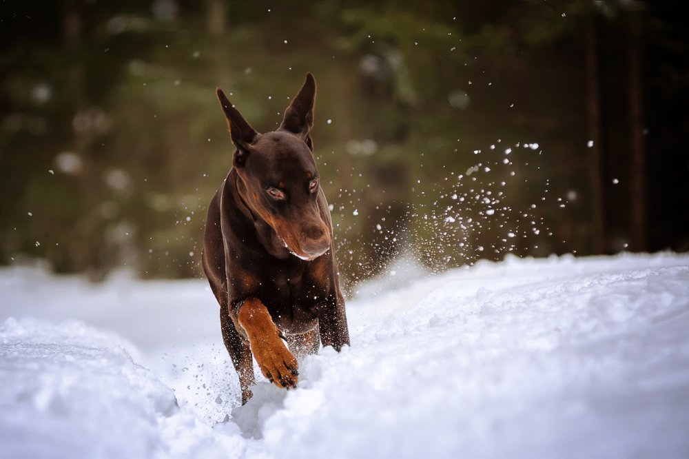 Photograph by Евгения Соколова