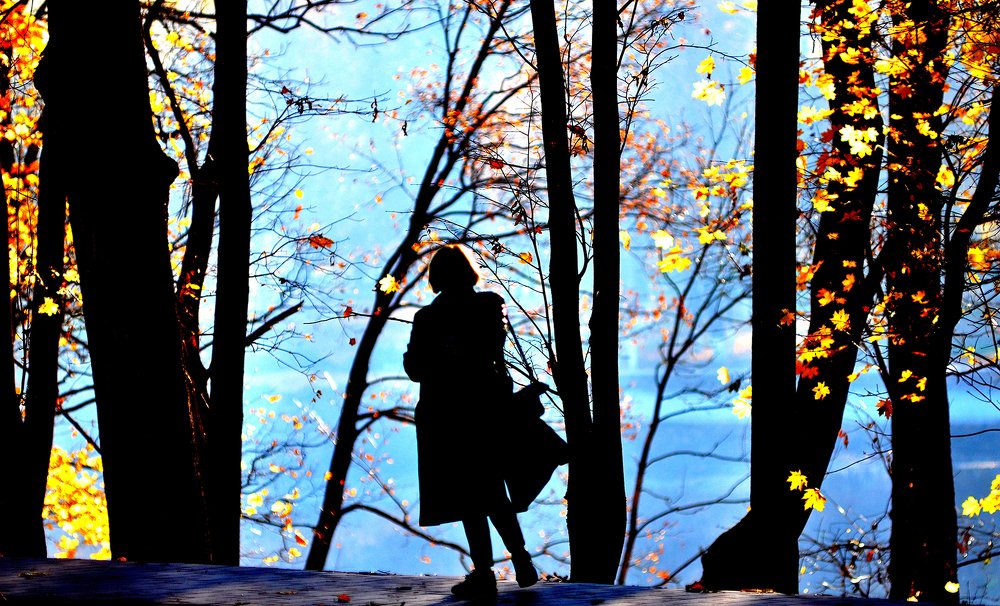 Нырнуть в Осень