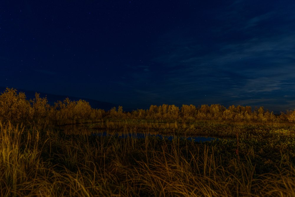 Ночь осенняя