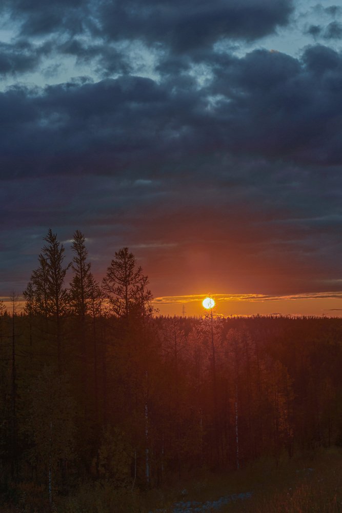 Закат в лесотундре