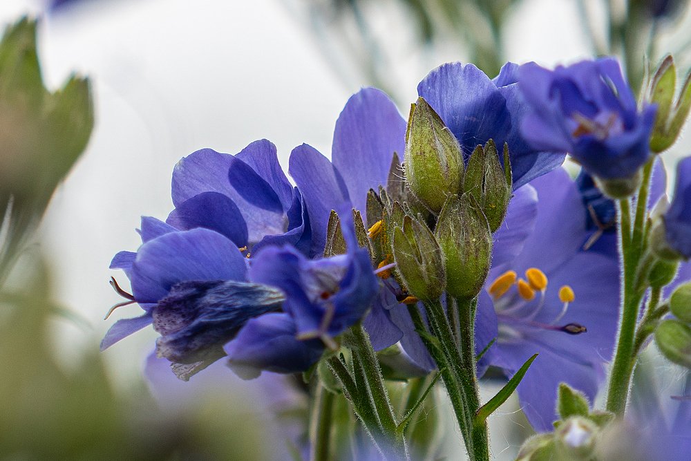 Photograph by Ирина Юркова