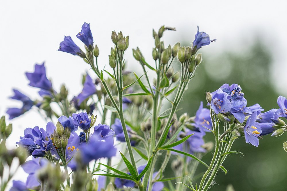 Photograph by Ирина Юркова