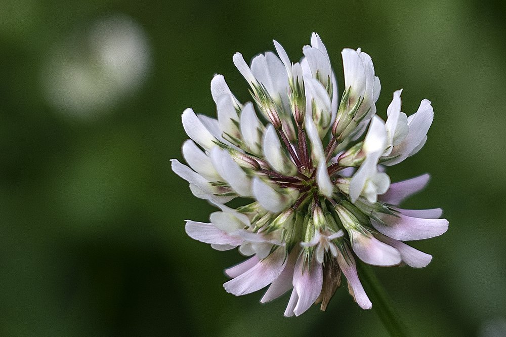 Photograph by Ирина Юркова