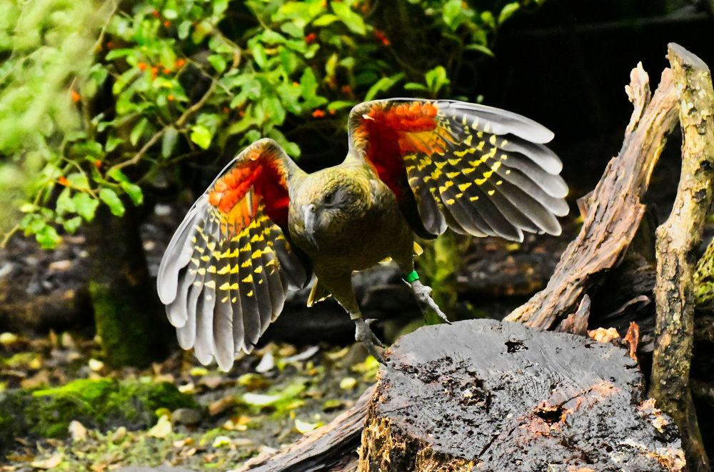 Photograph by Kelly Vivian