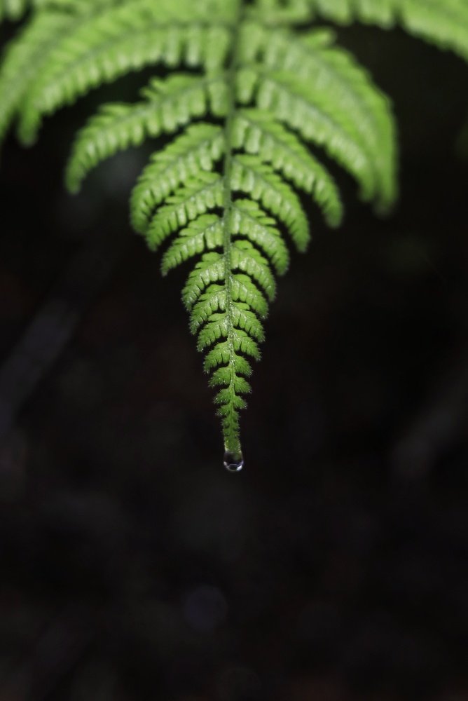 Photograph by MEET Gohel