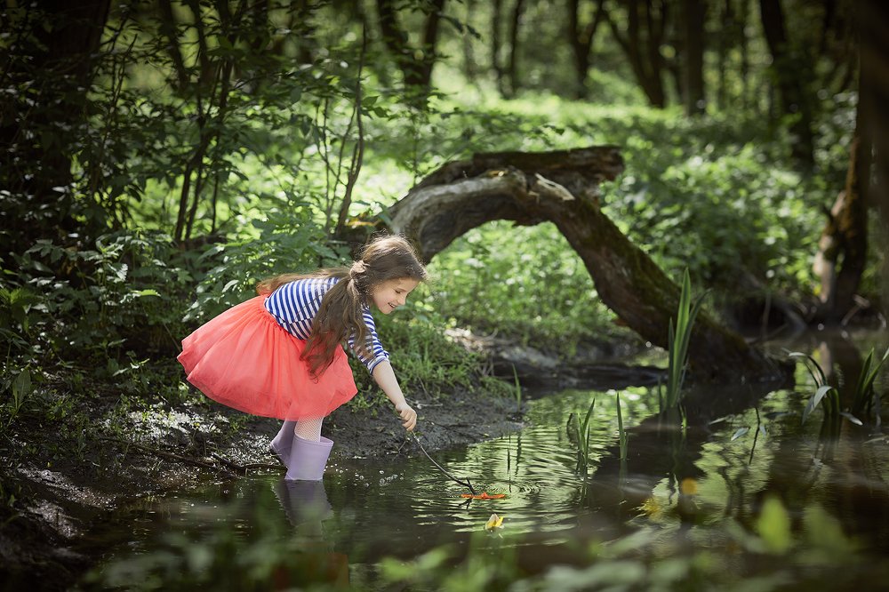 Корабли недальнего плавания