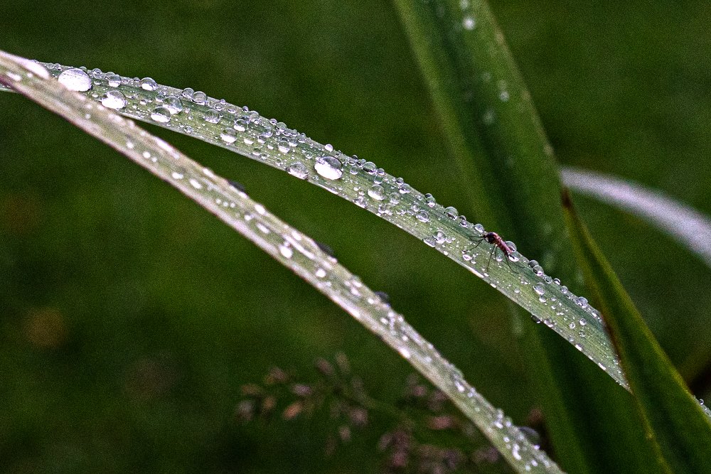 Photograph by Ирина Юркова