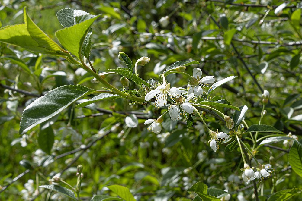 Photograph by Ирина Юркова