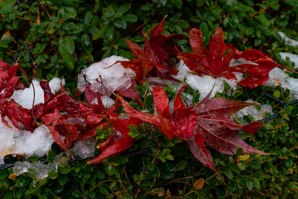 Photograph by Ирина Юркова