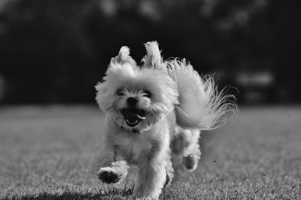 Photograph by Kelly Vivian