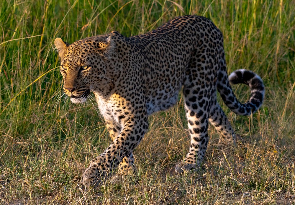 Photograph by Vignesh Ramachandran