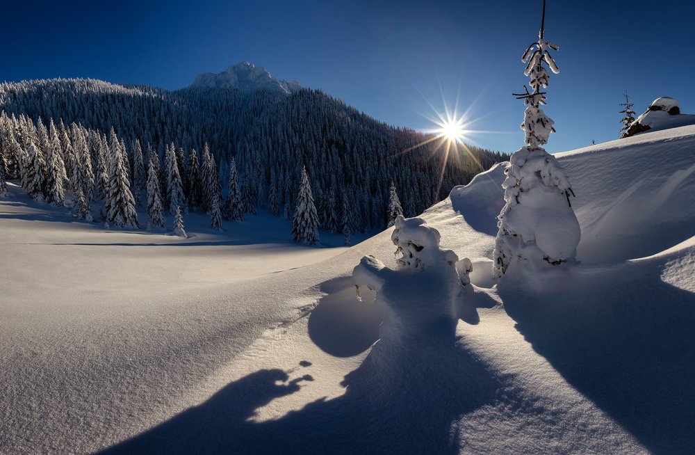 Photograph by Ladislav Szabó