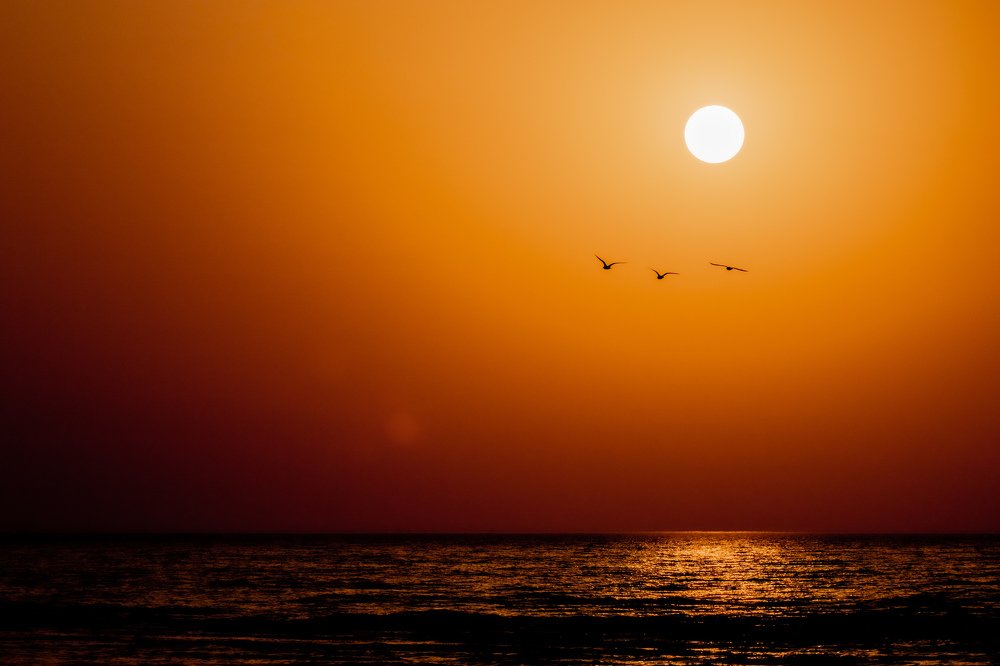 Photograph by Yuriy Kim