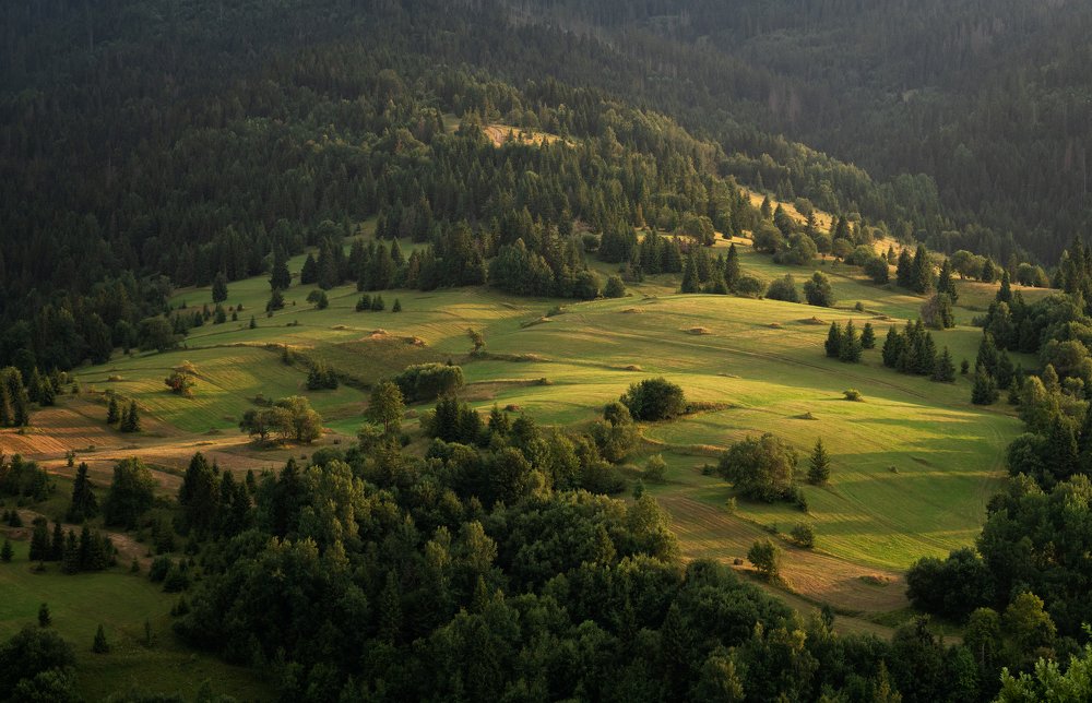 Photograph by Ladislav Szabó