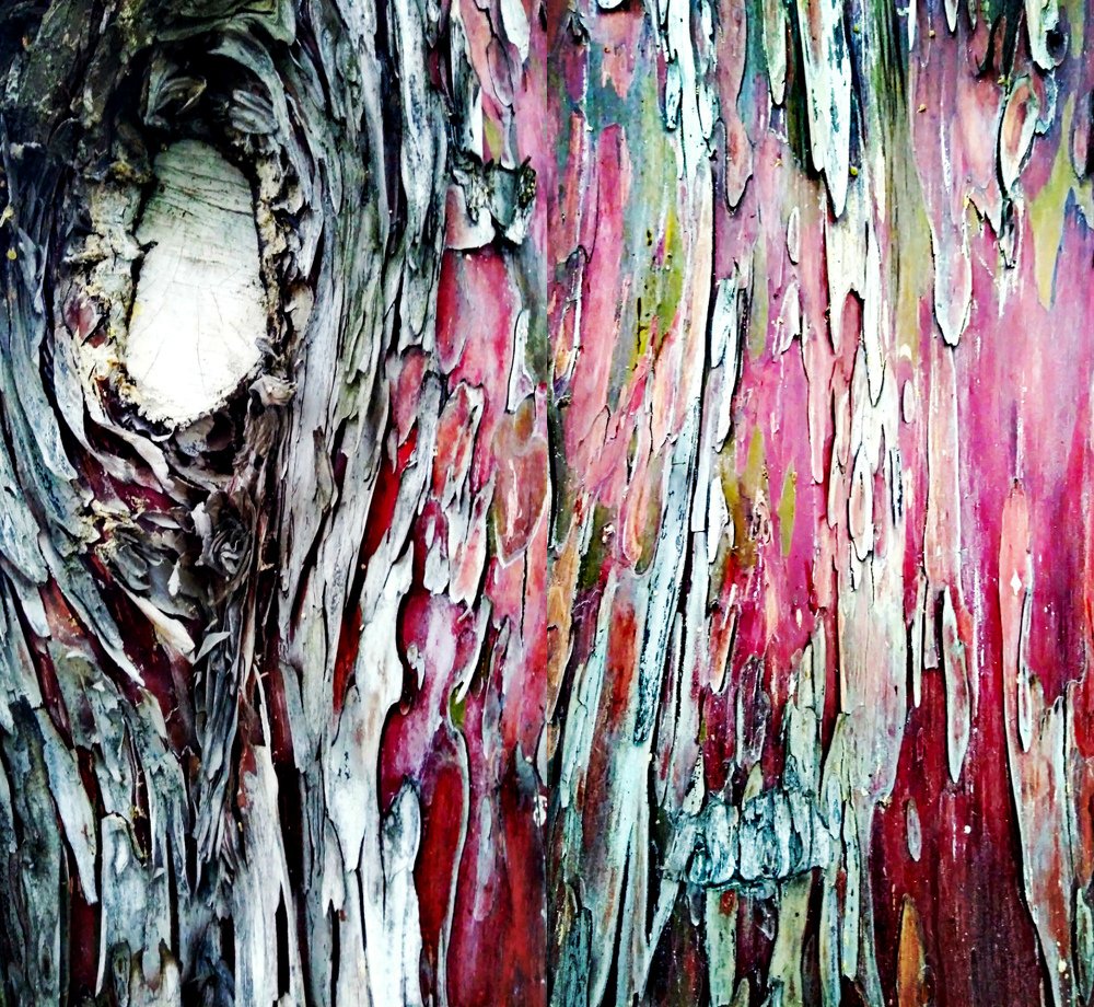 Художество природы