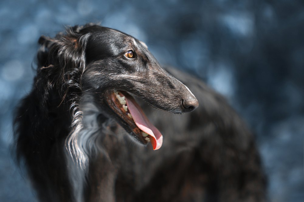 Photograph by Viktoria Baranova