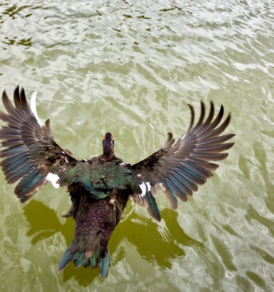 Photograph by Ольга Харлан