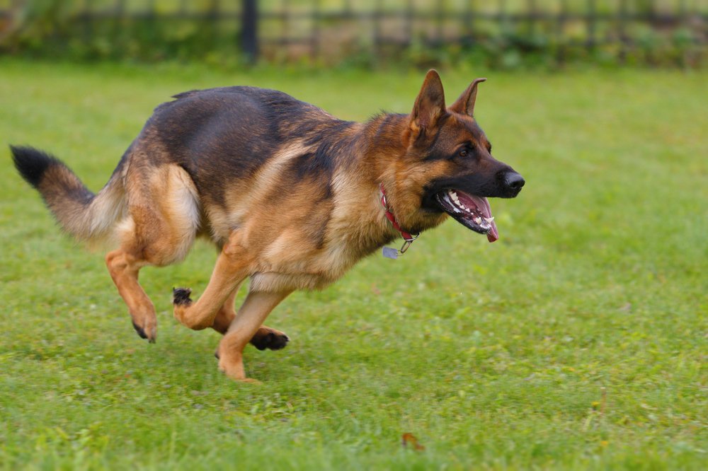 Photograph by Людмила Ефремова