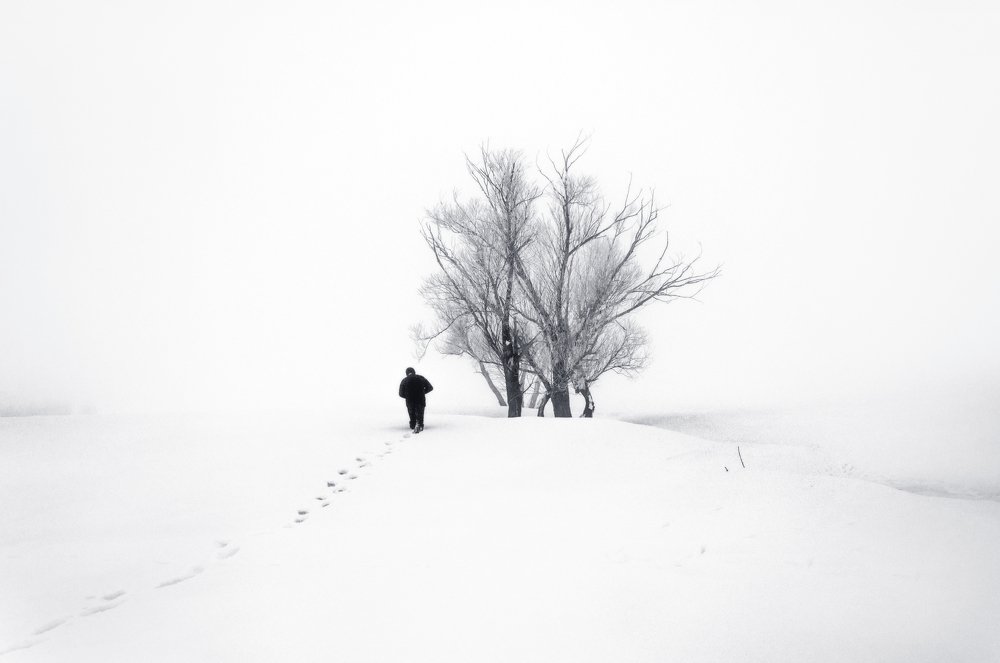 Photograph by  ramin