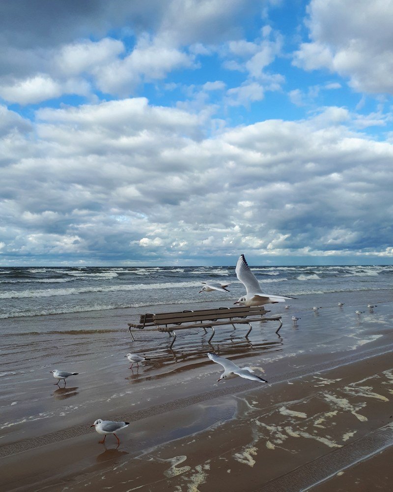 мимолетный полет