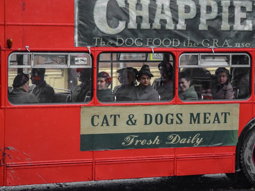 Photograph by Шутов Владимир