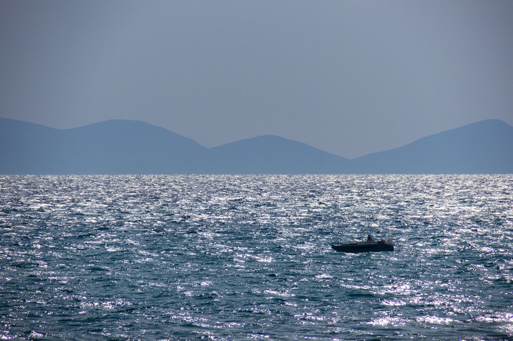 Photo #3665422