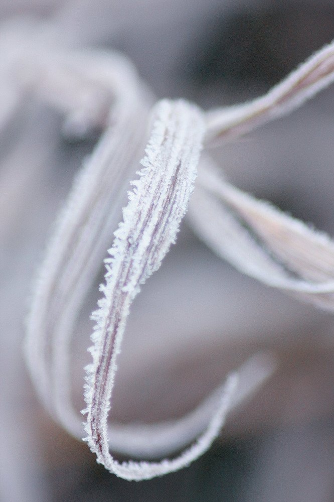 Photograph by Надежда Тарасенко