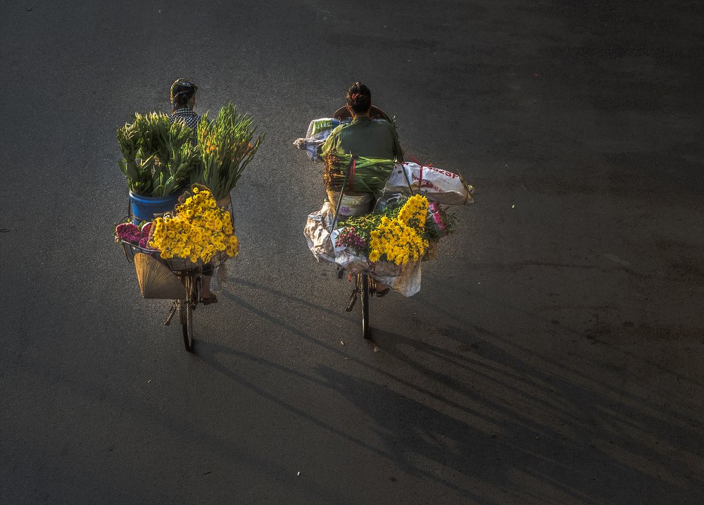 Фотография автора Hong Mai Duong