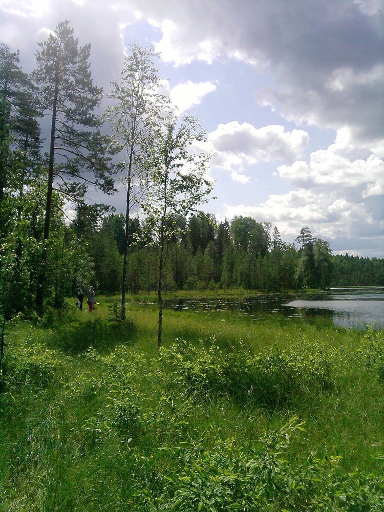 Photograph by Вячеслав Розмин