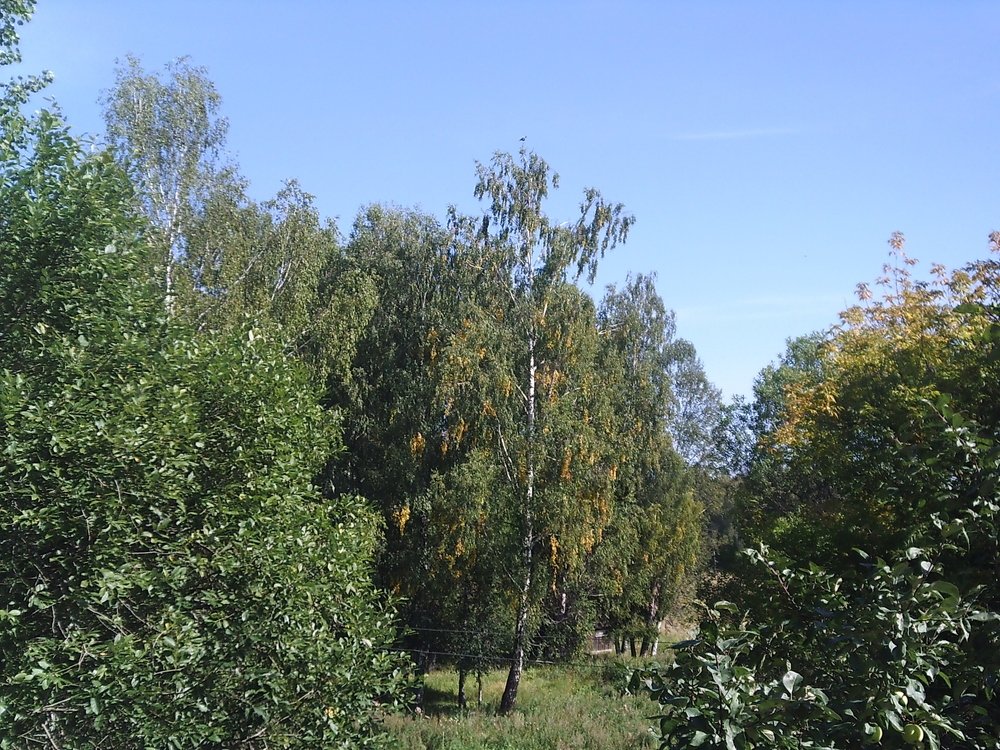 Photograph by Мария Кирпа