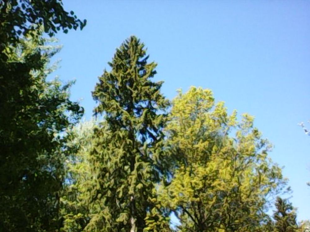 Photograph by Мария Кирпа