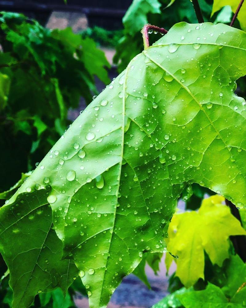 Photograph by Юлия Петракова